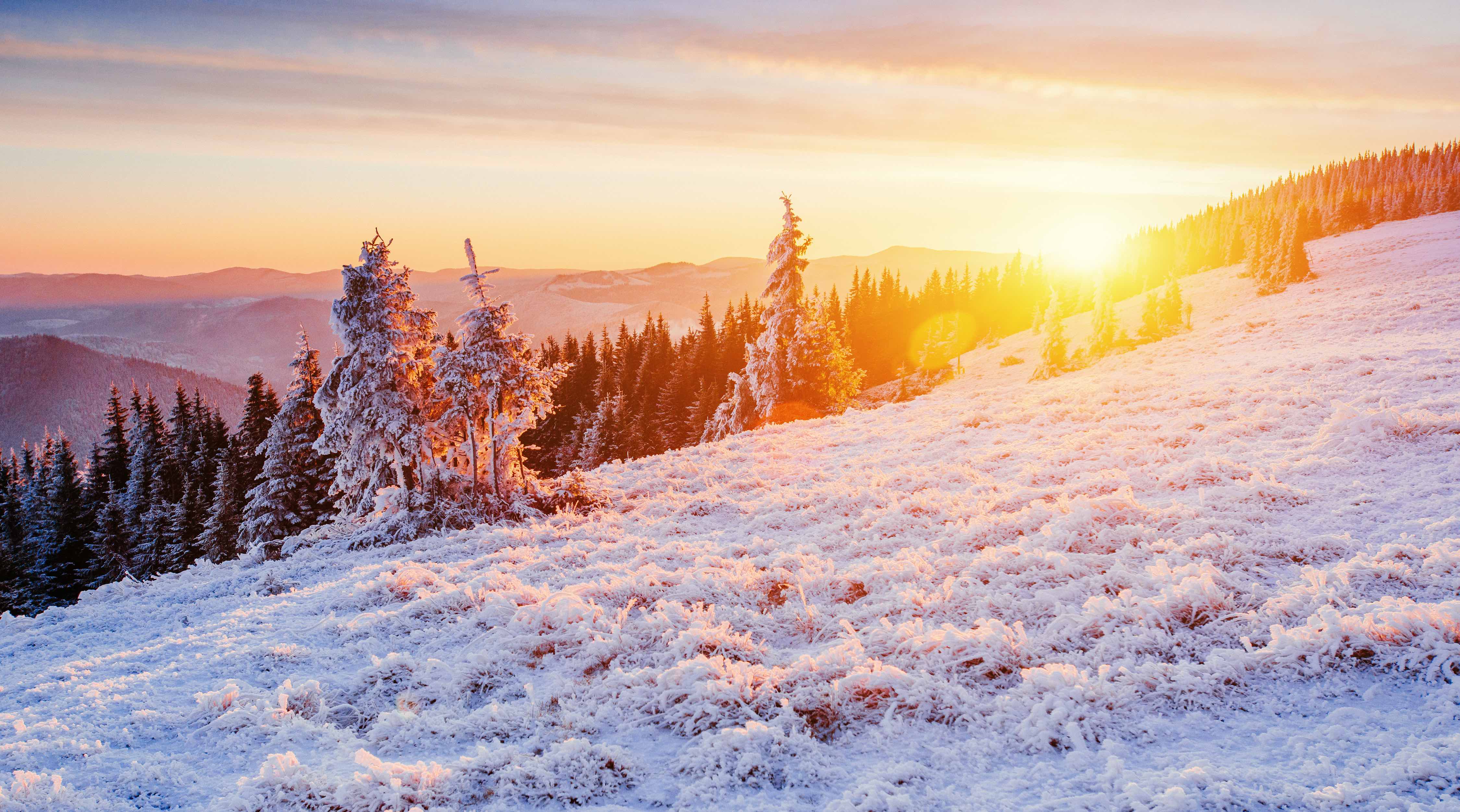 Cold Front: Winter Hunting